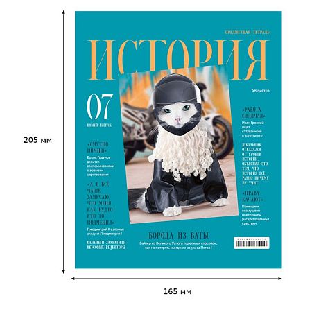 Тетрадь предметная 48л. BG "Скандальности" - История, глянцевая ламинация