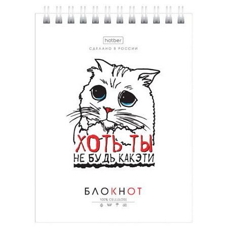Блокнот МАЛЫЙ ФОРМАТ А6, 40 л., гребень, картон, клетка, HATBER, "Муркомания", 090640, 40Б6В1гр
