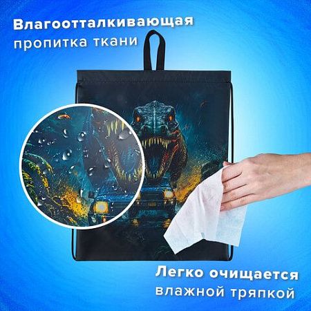 Мешок для обуви BRAUBERG KIDS, с петлей, 42х34 см, "Dino chase", 272416 