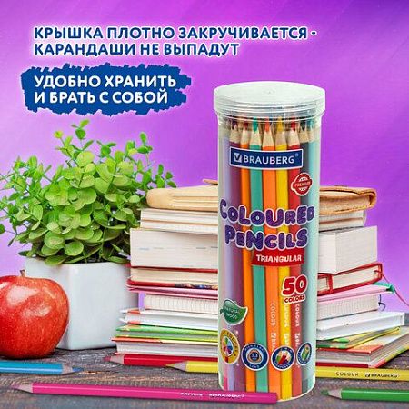 Карандаши цветные BRAUBERG PREMIUM 50 цветов в тубе, трехгранные, мягкий грифель 3,3 мм, 181935