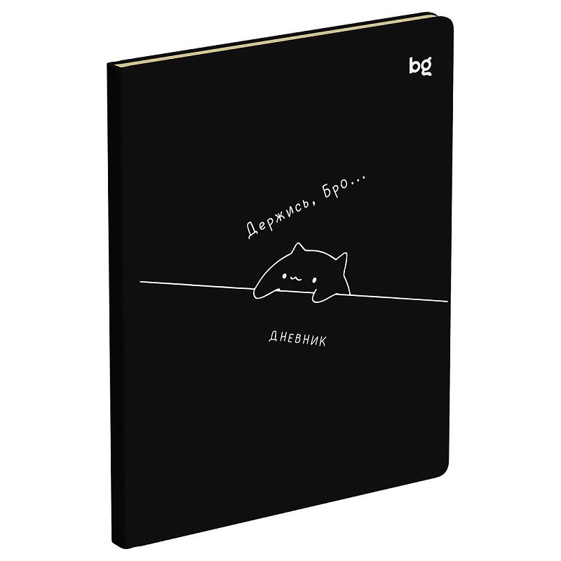 Дневник 1-11 кл. 48л. (твердый) BG "Держись", иск. кожа (балакрон), печать, ляссе
