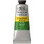 Краска акриловая художественная Winsor&Newton "Galeria", 60мл, туба, зеленая крушина