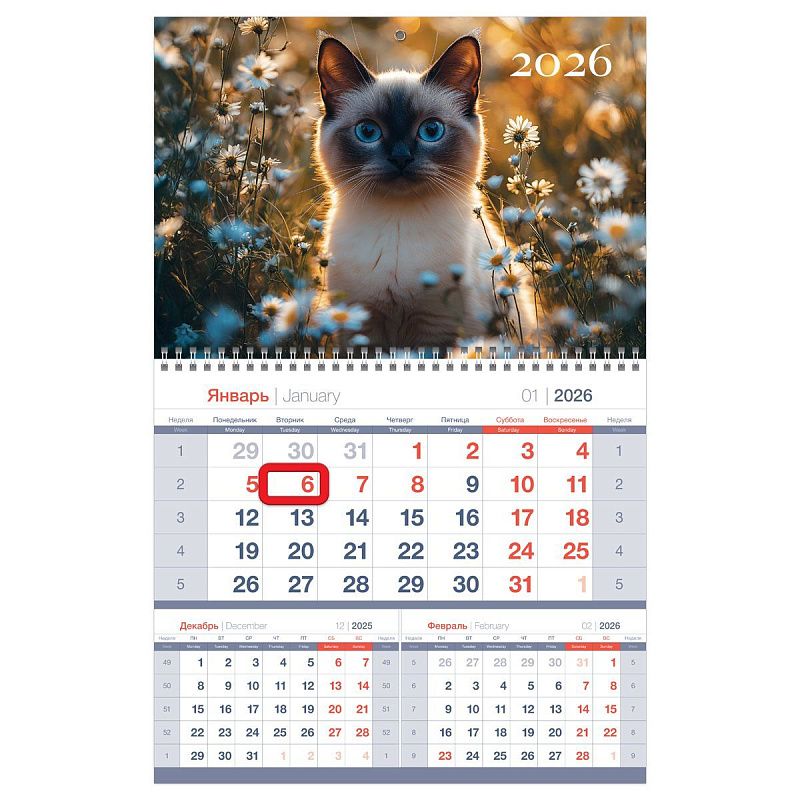 Календарь квартальный 1 бл. на 1 гр., 295*475 мм BG Mono premium "Кот в цветах", с магнитным бегунком, 2026г.