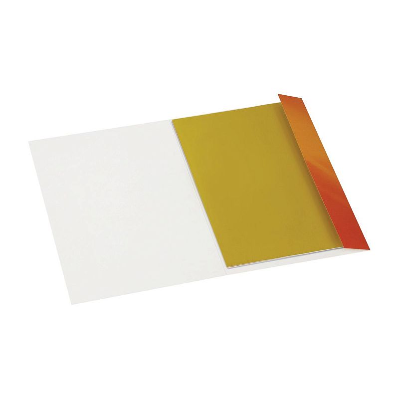 Цветная бумага мелованная А4, Мульти-Пульти, 24л., 24цв., в папке, "Приключения Енота"