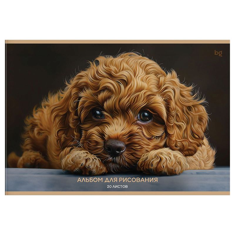 Альбом для рисования 20л., А4, на скрепке BG "Дружок"