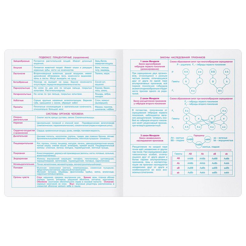 Тетрадь предметная 48л. BG "Крафт" - Биология, матовая ламинация