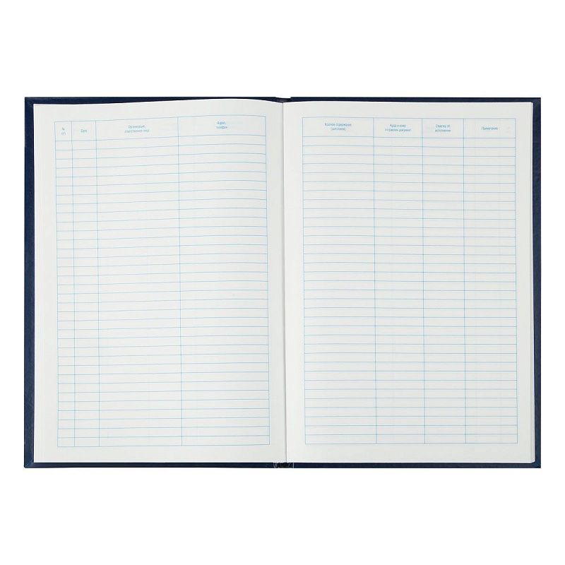 Книга регистрации документов OfficeSpace, А4, 96л., 200*290мм, бумвинил, блок офсетный