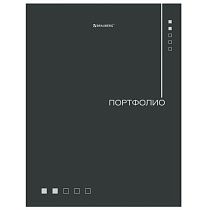 Папка-портфолио универсальная, 4 кольца, 20 файлов, 7БЦ матовая, BRAUBERG "Minimalism", 117553