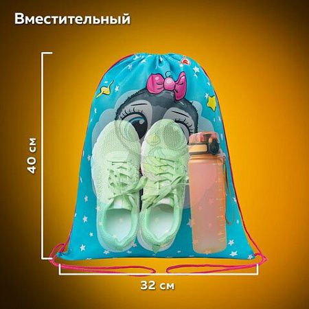 Мешок для обуви ПИФАГОР, 1 отделение, 42х34 см, "Smart penguin", 271602 