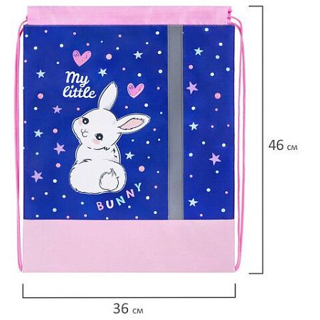 Мешок для обуви ЮНЛАНДИЯ, плотный, светоотражающая полоса, 46х36 см, "Fluffy tail", 272409 