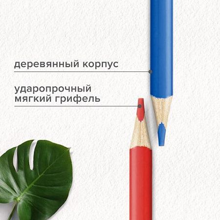 Карандаши цветные супермягкие яркие трехгранные BRAUBERG MAX, 50 цветов, грифель мягкий 3,3 мм, 181860