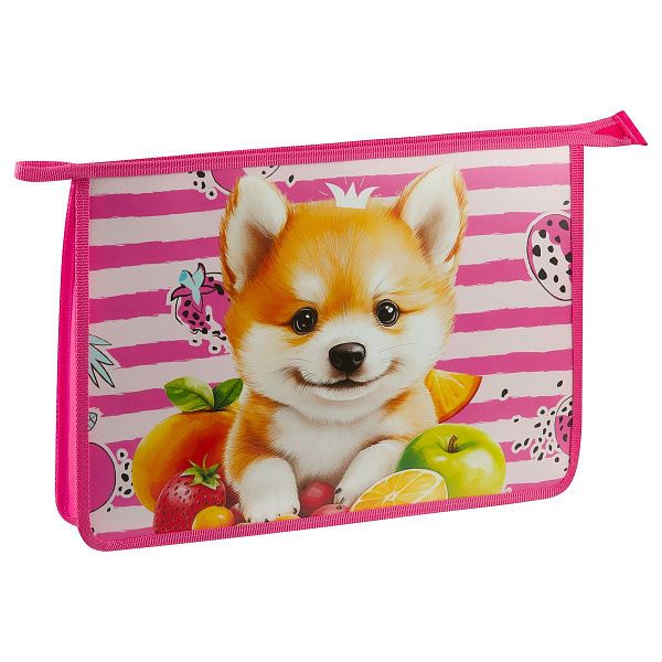 Папка для тетрадей 1 отделение, ArtSpace "Corgi", А4, пластик, на молнии