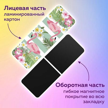 Закладки для книг МАГНИТНЫЕ, "FLAMINGO", набор 6 шт., 35x25 мм, BRAUBERG, 113165 