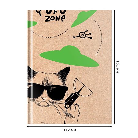 Бизнес-блокнот А6, 80л., BG "UFO zone", матовая ламинация