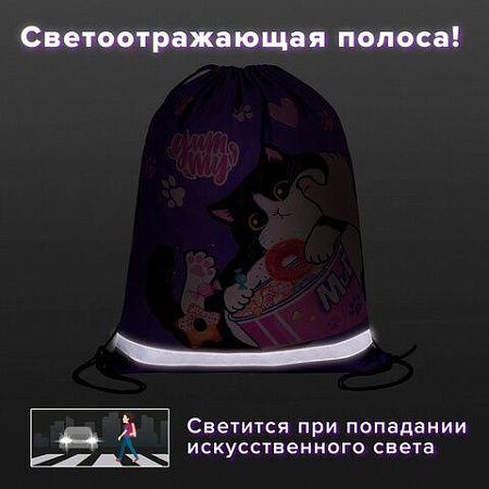 Мешок для обуви BRAUBERG KIDS, с петлей, светоотражающая полоса, 46х36 см, Sweet cheeks, 272390 