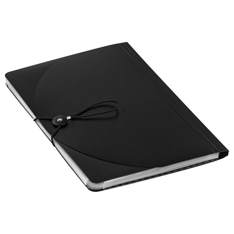 Папка-органайзер для хранения документов СТАММ А4, 13 отделений,  черный 