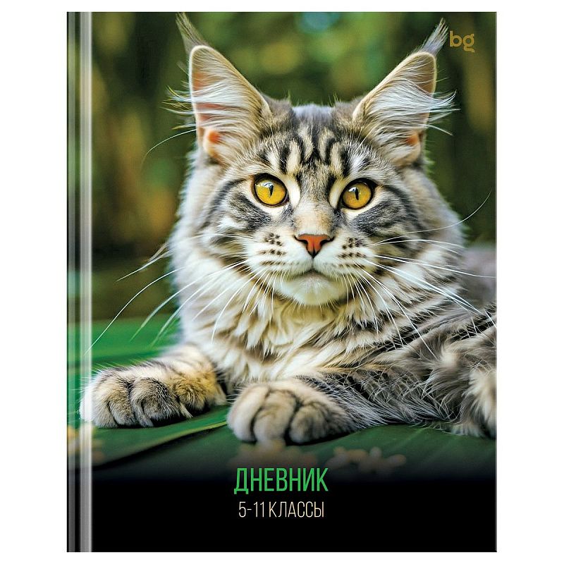 Дневник 5-11 кл. 48л. (твердый) BG "Кот", глянцевая ламинация
