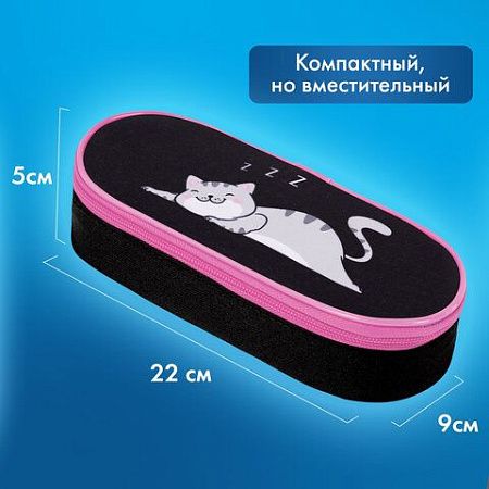 Пенал-футляр BRAUBERG, 1 отделение, органайзер, полиэстер, 22x9х5 см, Don't wake up, 272311 