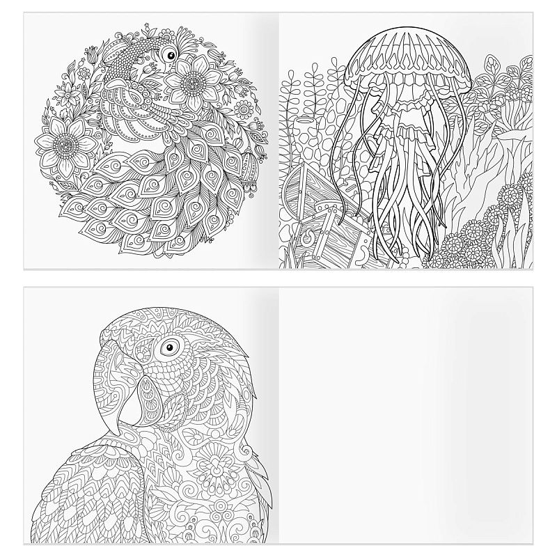 Раскраска для взрослых 228*228, 64 стр., ТРИ СОВЫ "Антистресс-терапия. Животные", склейка