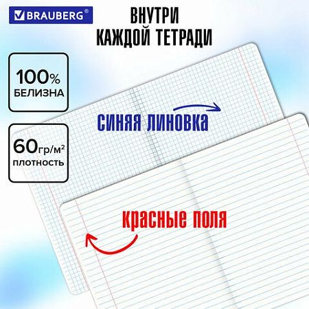 Тетради предметные, КОМПЛЕКТ 5 ПРЕДМЕТОВ, 48 л., матовая ламинация, BRAUBERG "MINIMAL", 405185