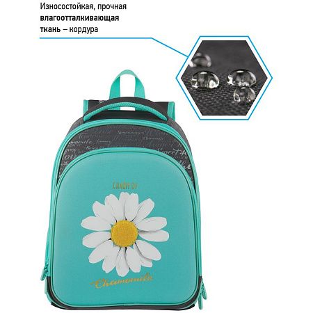 Ранец Berlingo Expert Plus "Chamomile" 38*29*15см, 2 отделения, 2 кармана, анатомическая спинка 