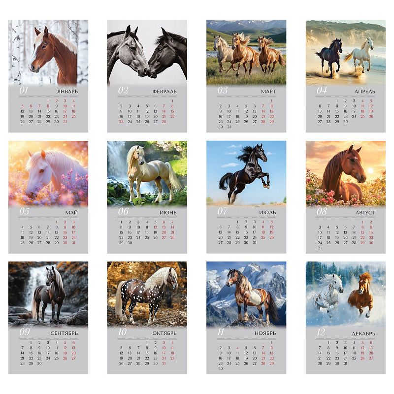 Календарь настенный перекидной на гребне, 340*480 мм 6л. BG "Лошади", 2026г.