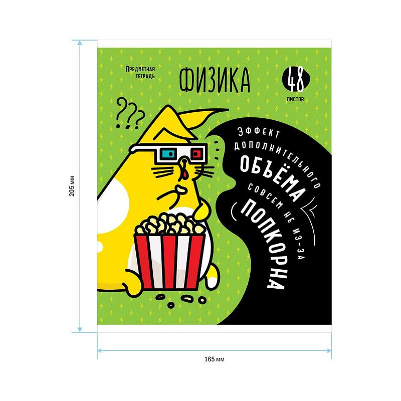 Тетрадь предметная 48л. ArtSpace "Мысли вслух" - Физика, эконом