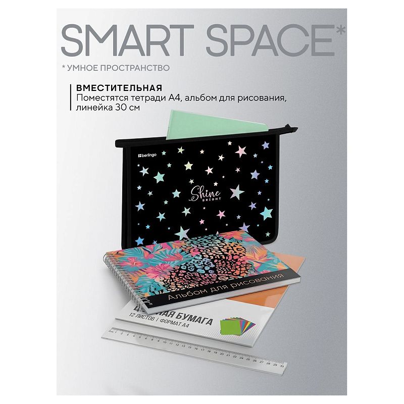 Папка для тетрадей 1 отделение, А4 Berlingo "Shine", 340*245*40 мм, пластик, на молнии 