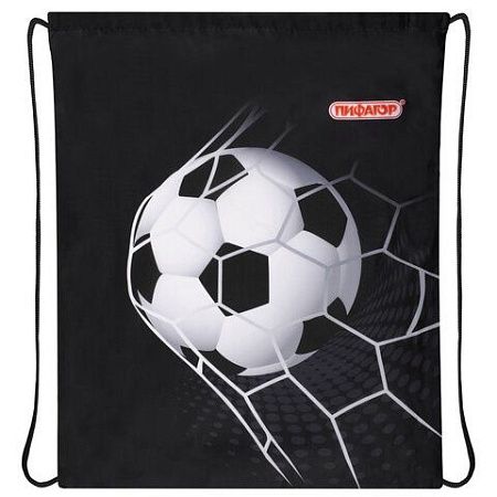 Мешок для обуви ПИФАГОР, 1 отделение, 40х32 см, Ball kick, 272386 