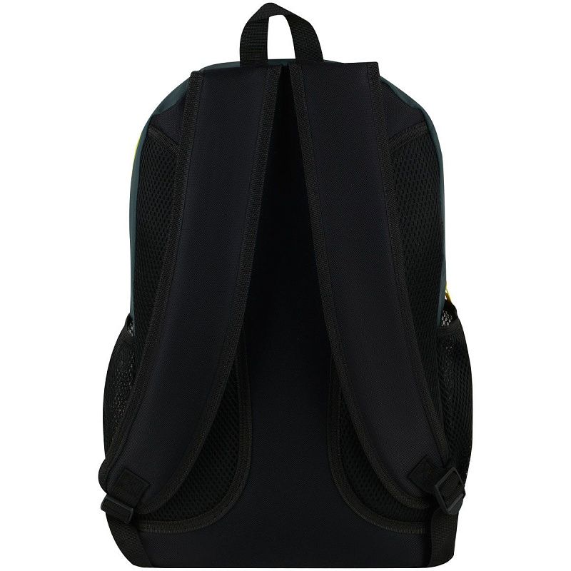 Рюкзак ArtSpace Classic "Caught Fish", 45*30*16см, 2 отделения, 2 кармана, PU покрытие, уплотн. спинка 