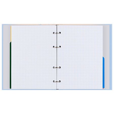 Тетрадь на кольцах А5, 240л., BG "Васильковое настроение", с разделителями, матовая ламинация