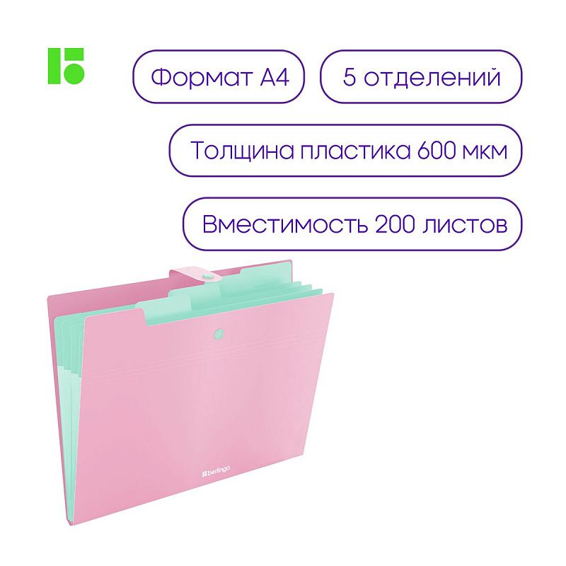 Папка 5 отделений Berlingo "Haze", А4, 600мкм, на кнопке, розовая, софт-тач 