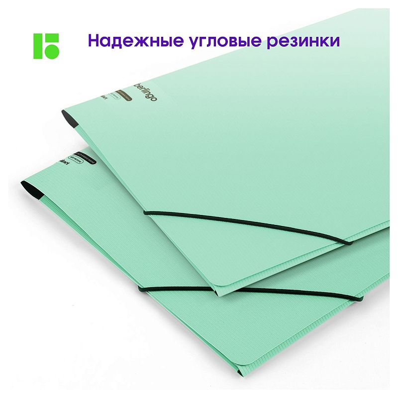 Папка на резинке Berlingo "Instinct" А4, пластик, 600мкм, мятный 