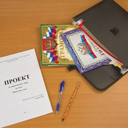 Папка для бумаг и документов с замком и 13 отделениями BRAUBERG "HIT", А4, пластик, черная, 229572 