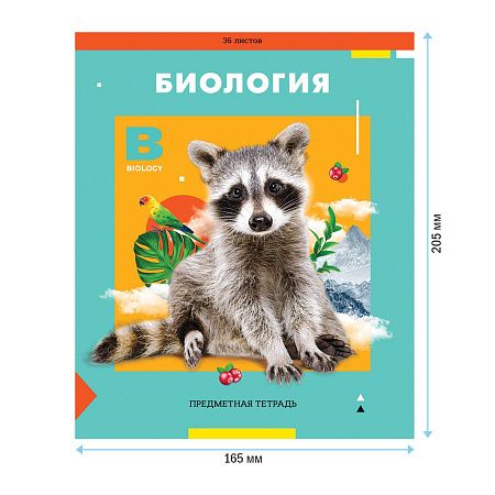 Тетрадь предметная 36л. ArtSpace "Пять в квадрате" - Биология, эконом