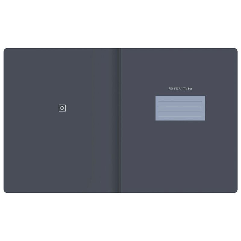 Тетрадь предметная 48л. BG "Сolor object" - Литература, soft-touch ламинация, тиснение фольгой, 70г/м2