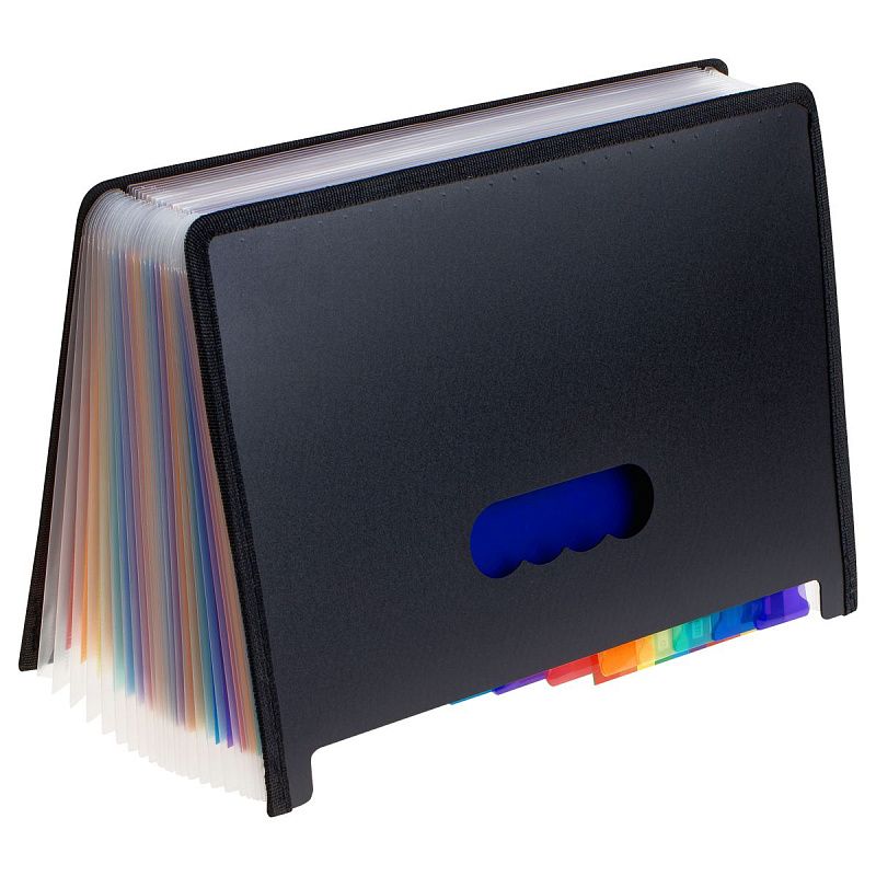 Лоток-органайзер для хранения документов СТАММ А4, 25 отделения,  черный 