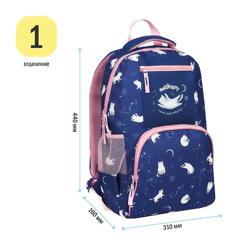 Рюкзак ArtSpace School "Cat curious", 44*31*16см, 1 отделение, 4 кармана, уплотн. спинка 