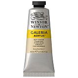 Краска акриловая художественная Winsor&Newton "Galeria", 60мл, туба, темно-желтый титан