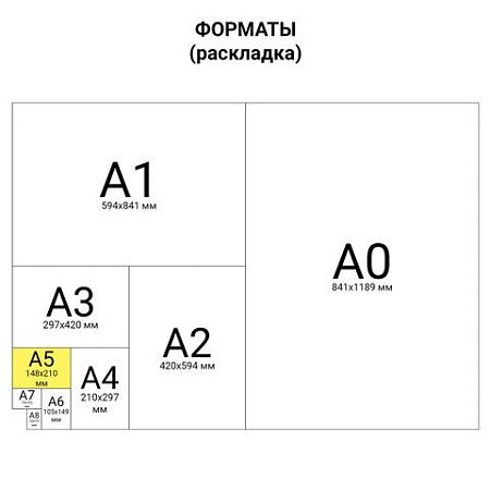 Тетрадь на кольцах А5 160х215 мм, 80 л., пластик, клетка, BRAUBERG, "Голубой", 403251
