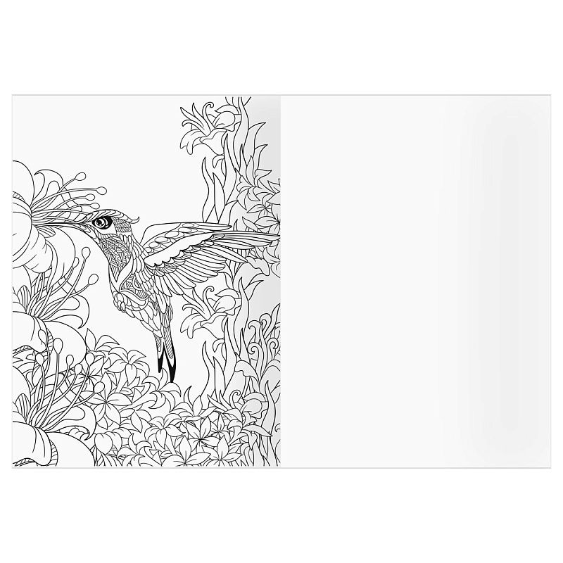 Раскраска А4 ТРИ СОВЫ "Антистресс. Райские птицы", 16стр.