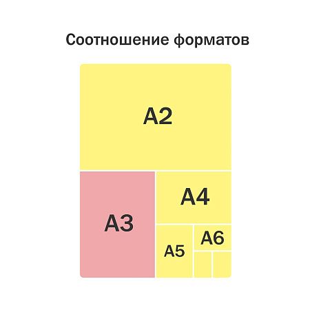 Папка для чертежей и рисунков А3 ArtSpace "Tiger", пластик, 70мм, на молнии 