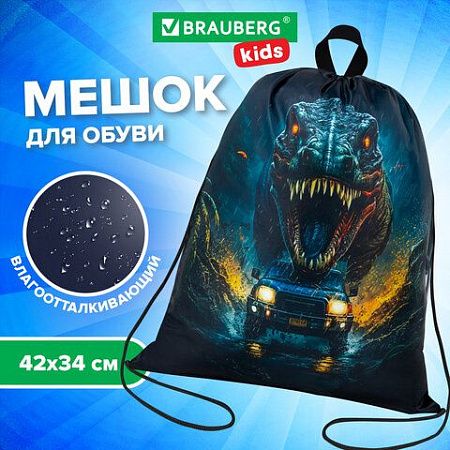 Мешок для обуви BRAUBERG KIDS, с петлей, 42х34 см, "Dino chase", 272416 