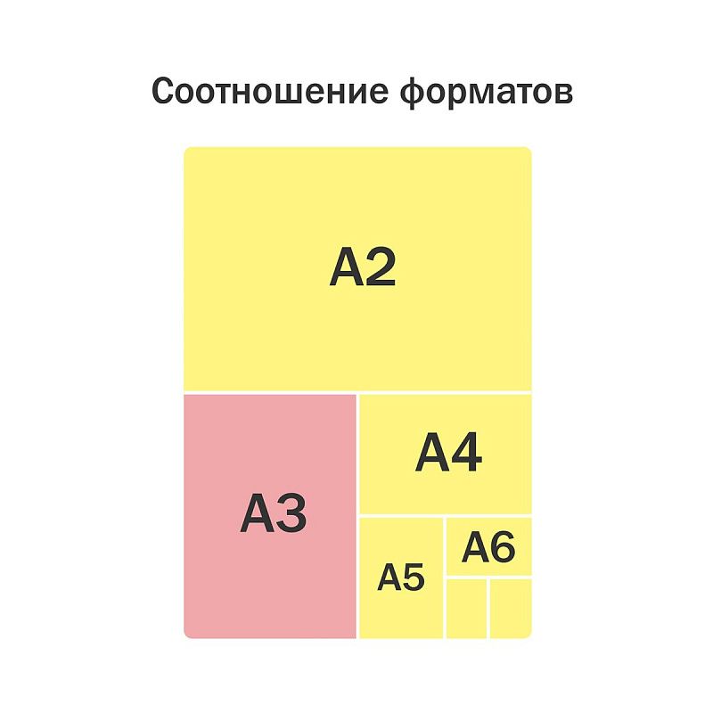 Папка для чертежей и рисунков А3 ArtSpace "Tiger", пластик, 70мм, на молнии 