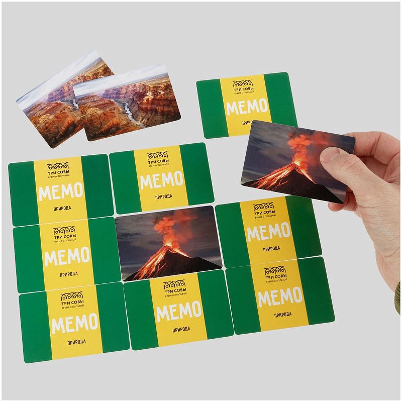 Игра настольная ТРИ СОВЫ "Мемо. Природа ", 50 карточек, картонная коробка 
