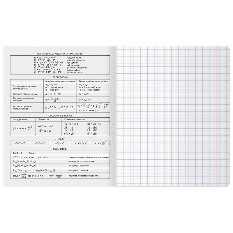 Комплект (12 шт.) предметных тетрадей 48л. BG "Гармония знаний", soft-touch ламинация