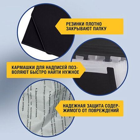 Папка на резинках BRAUBERG "Business", А4, 13 отделений, пластиковый индекс, черная, 0,5 мм, 224147 