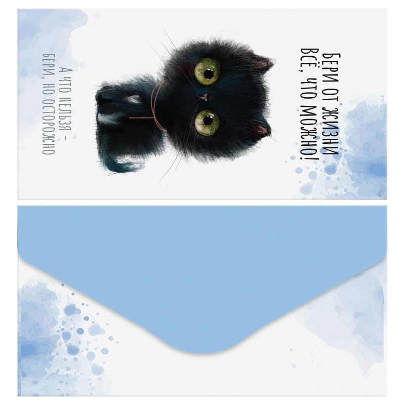 Конверт для денег MESHU "Cute kittens" 85*164мм, матовая ламинация, 5 дизайнов