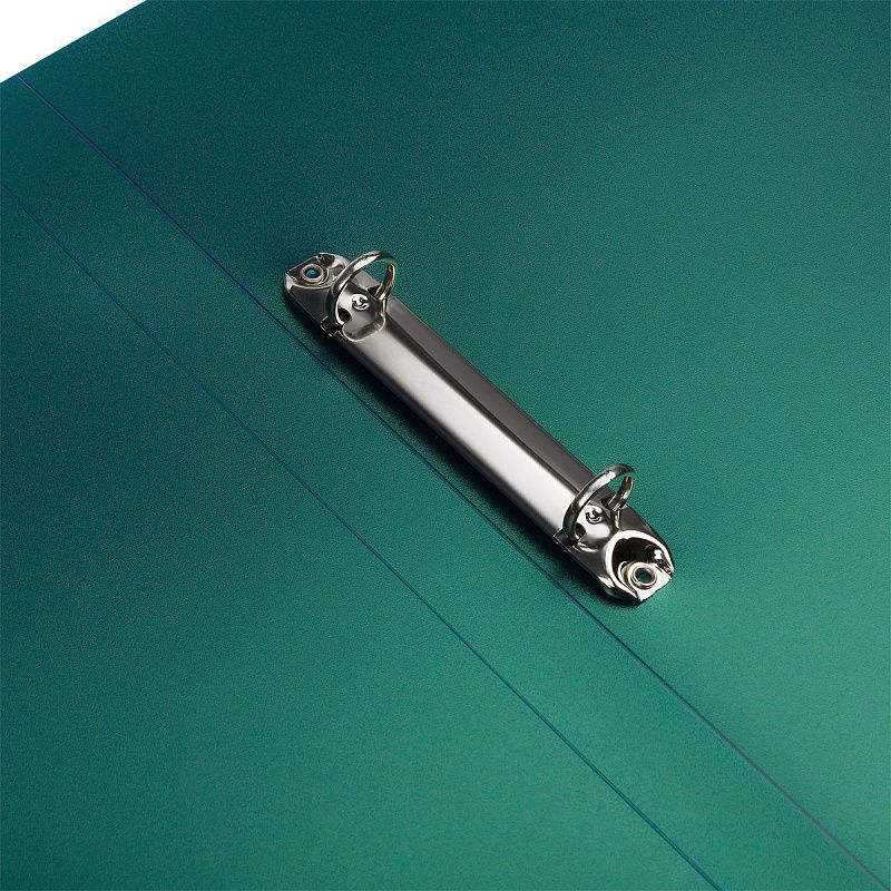 Папка на 2 кольцах СТАММ "Хамелеон" А4, 25мм, 700мкм, пластик, зеленый хамелеон 