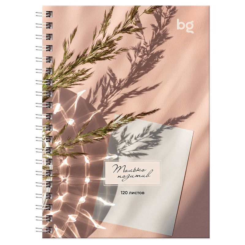 Записная книжка А6 120л., на гребне BG "Место под солнцем", матовая ламинация, выб. лак, твердая обложка